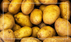 Gyors megtérülési idő pl. 1000 tonna burgonya, akár a súlyának a 8%-át is elveszítheti. Ez 8000 USD veszteséget jelent. 