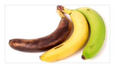 Fertötlenítő, csírázás gátló érés szabályozó anyagok adagolása.